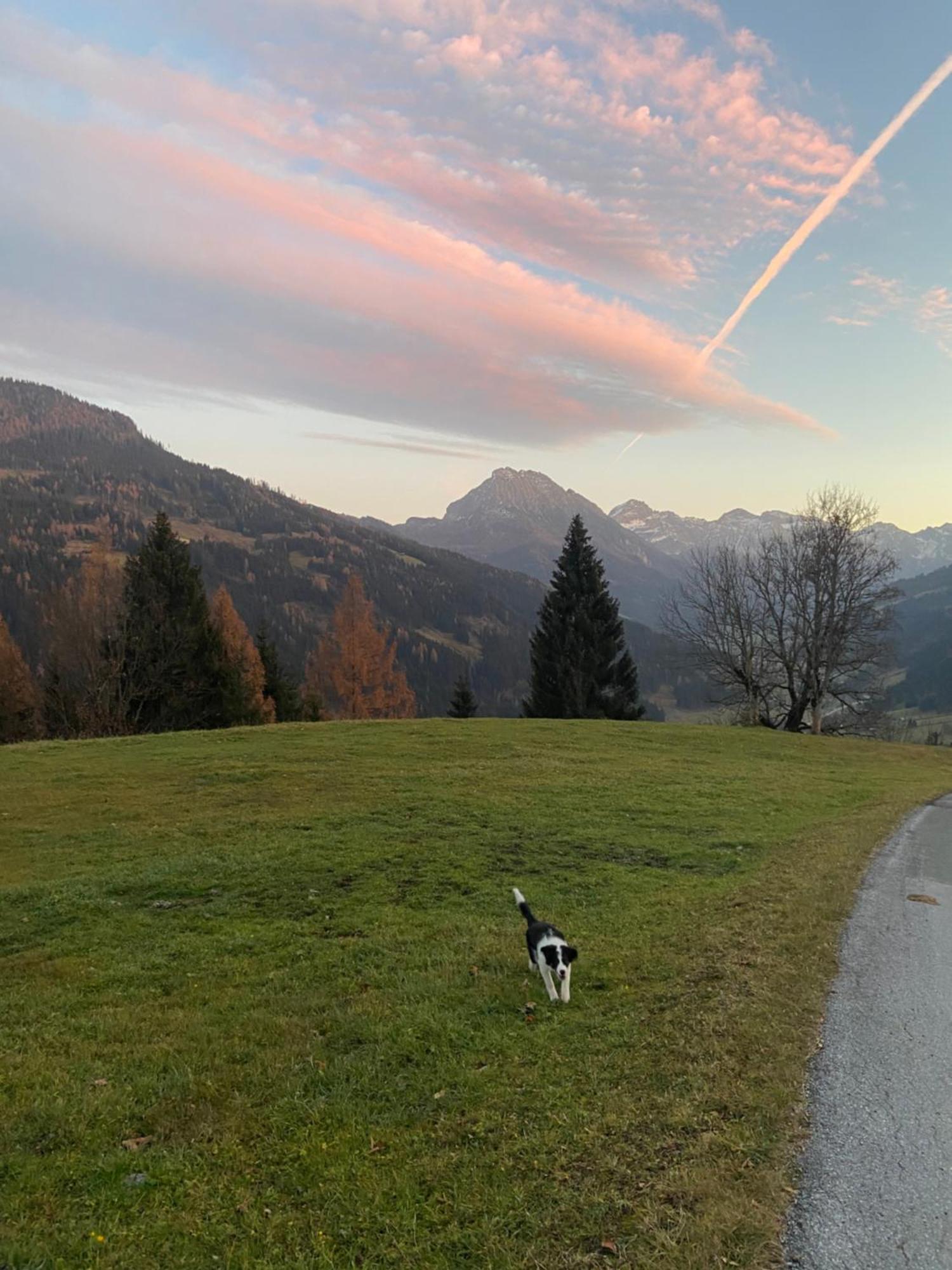Haus Steinacher * Wagrain