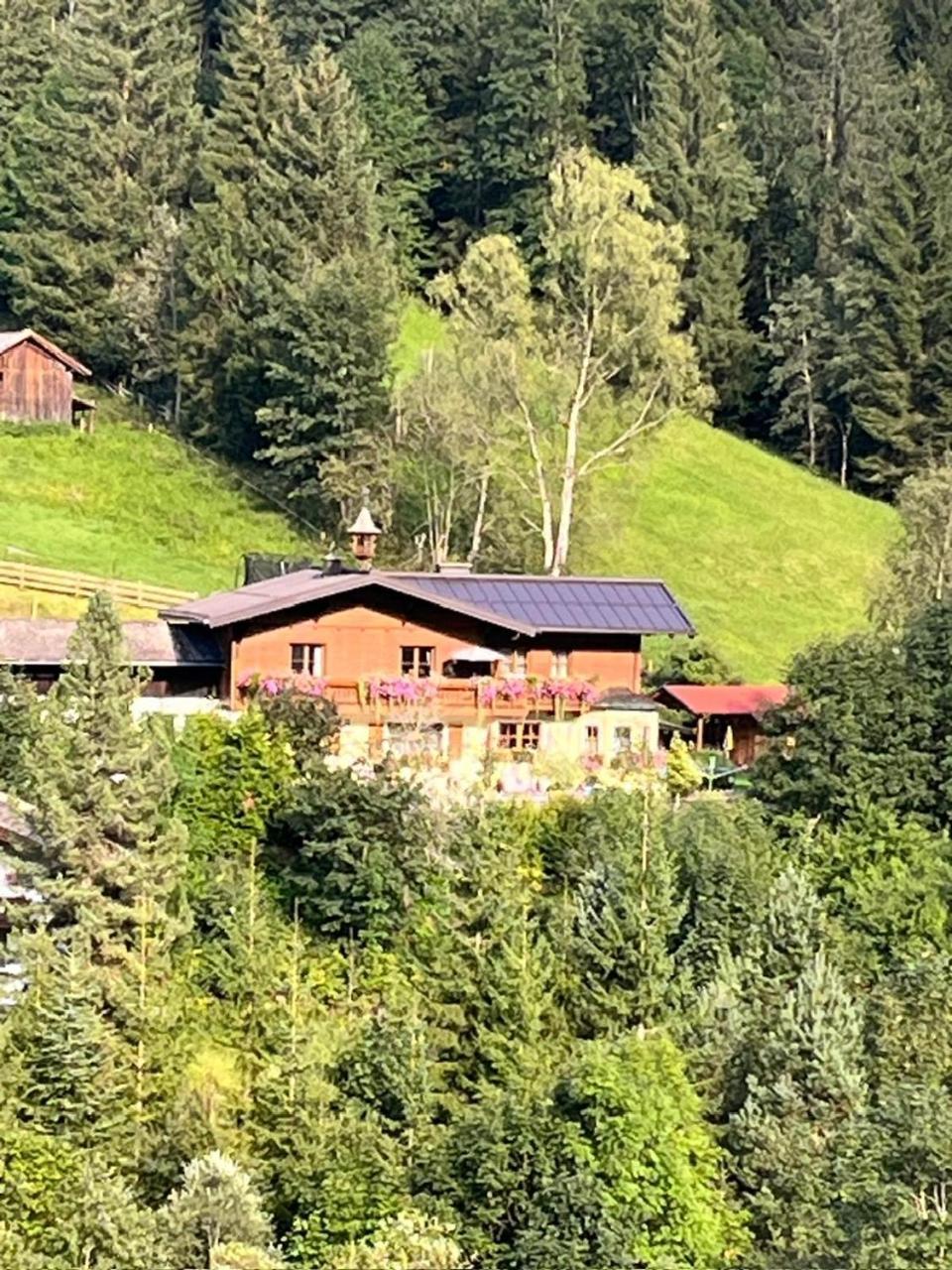 Haus Steinacher *